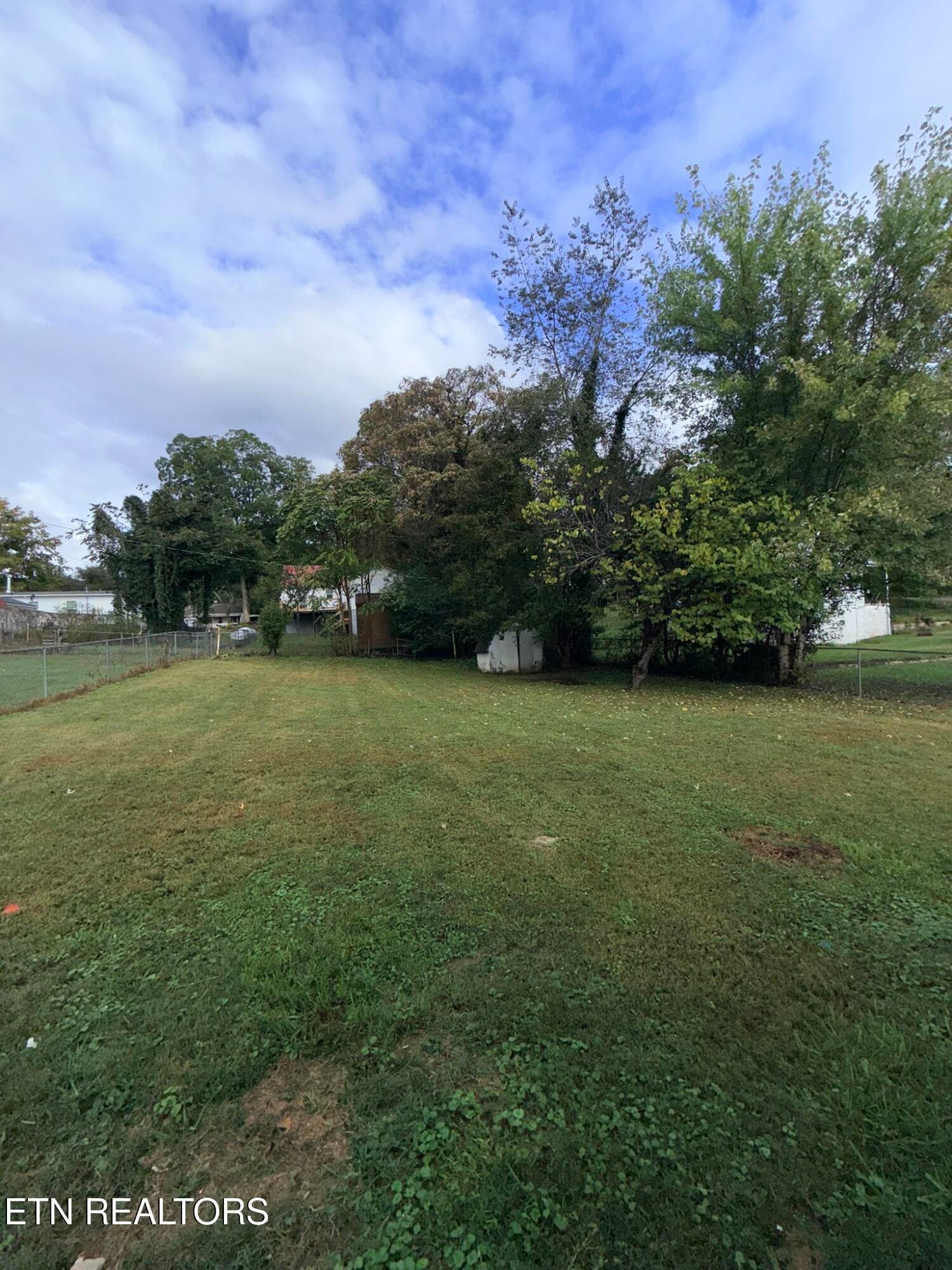 IMG_1176 - 117 Linden Ave, LaFollette, TN 37766, LaFollette