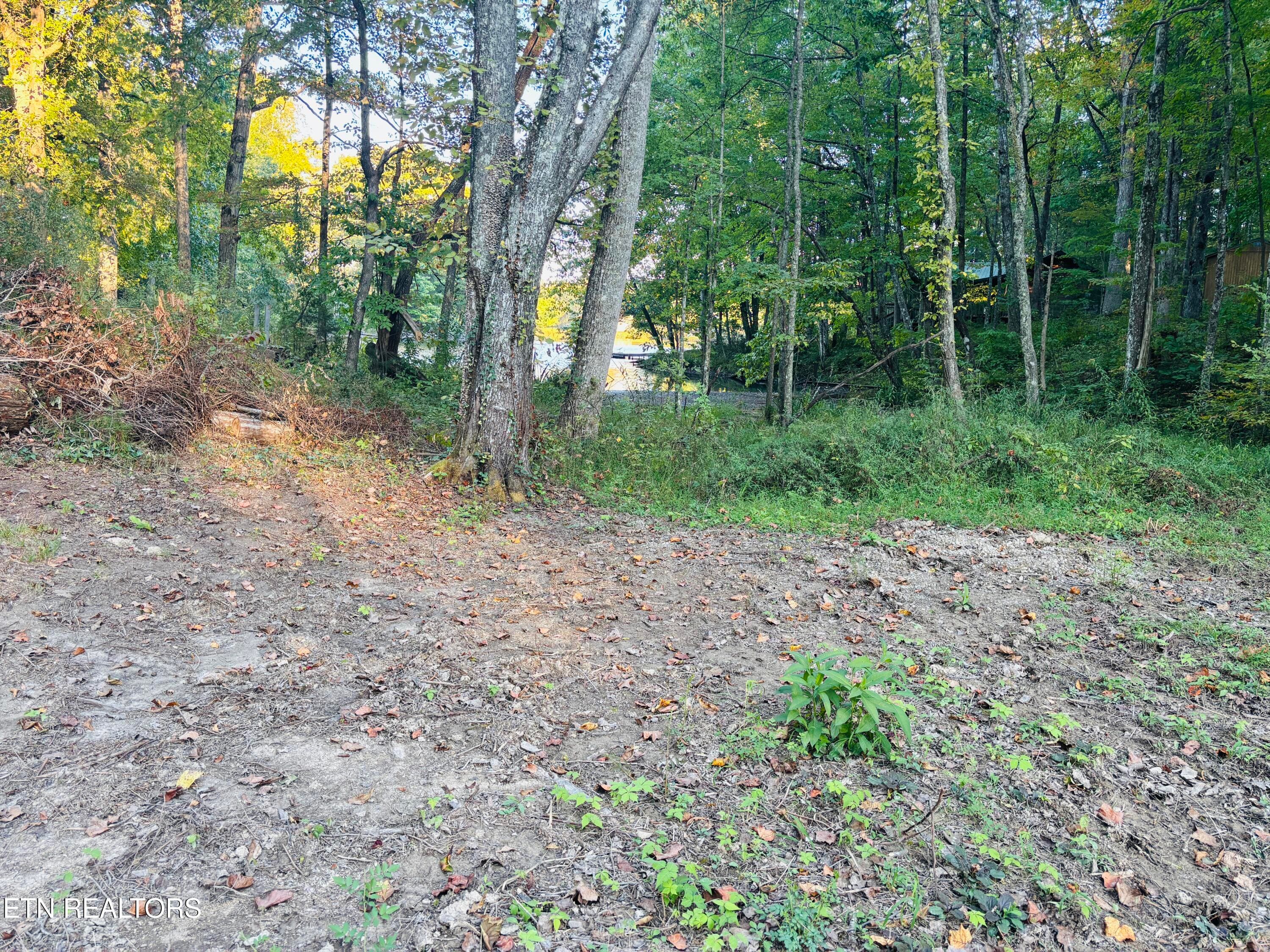 IMG_2371 - 41 Diane Circle, Crossville, TN 38572, Crossville