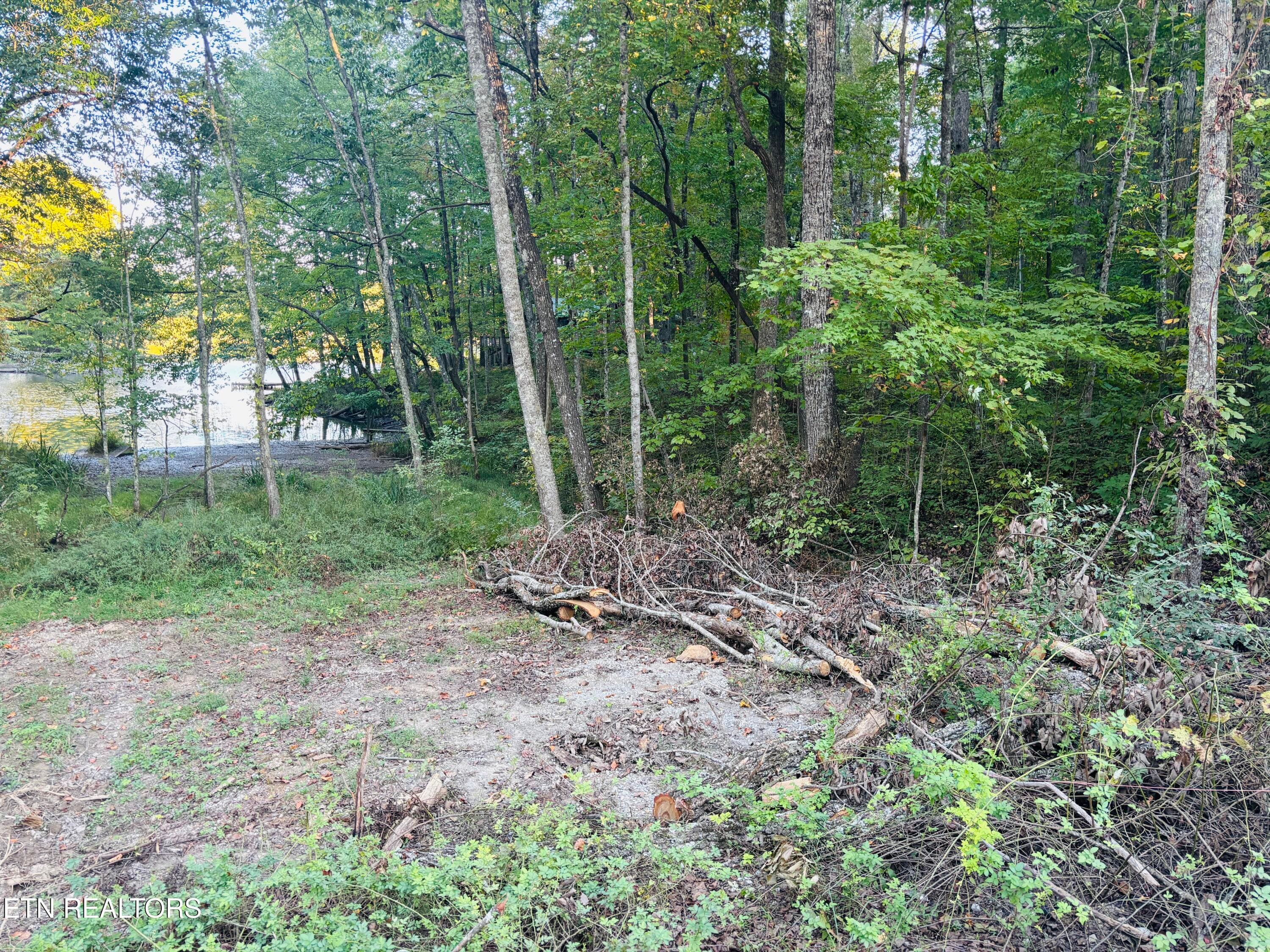 IMG_2360 - 41 Diane Circle, Crossville, TN 38572, Crossville