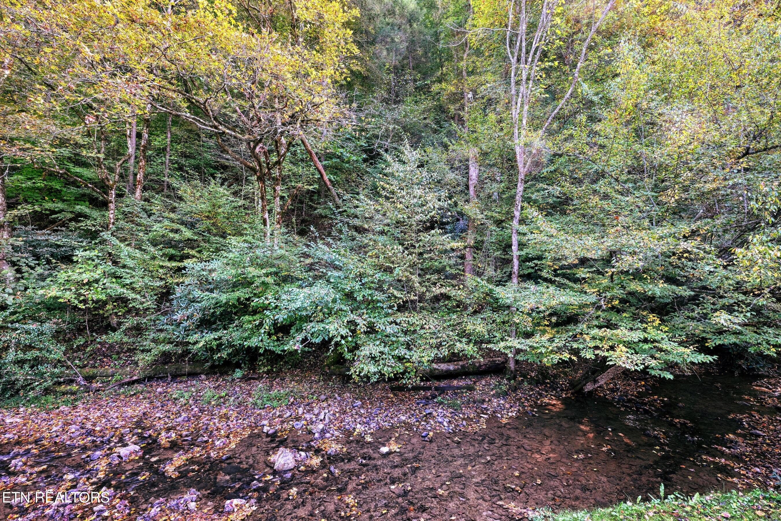 DSC_6513_HDR 2 - 307 Caney Creek Rd, Pigeon Forge, TN 37863, Pigeon Forge