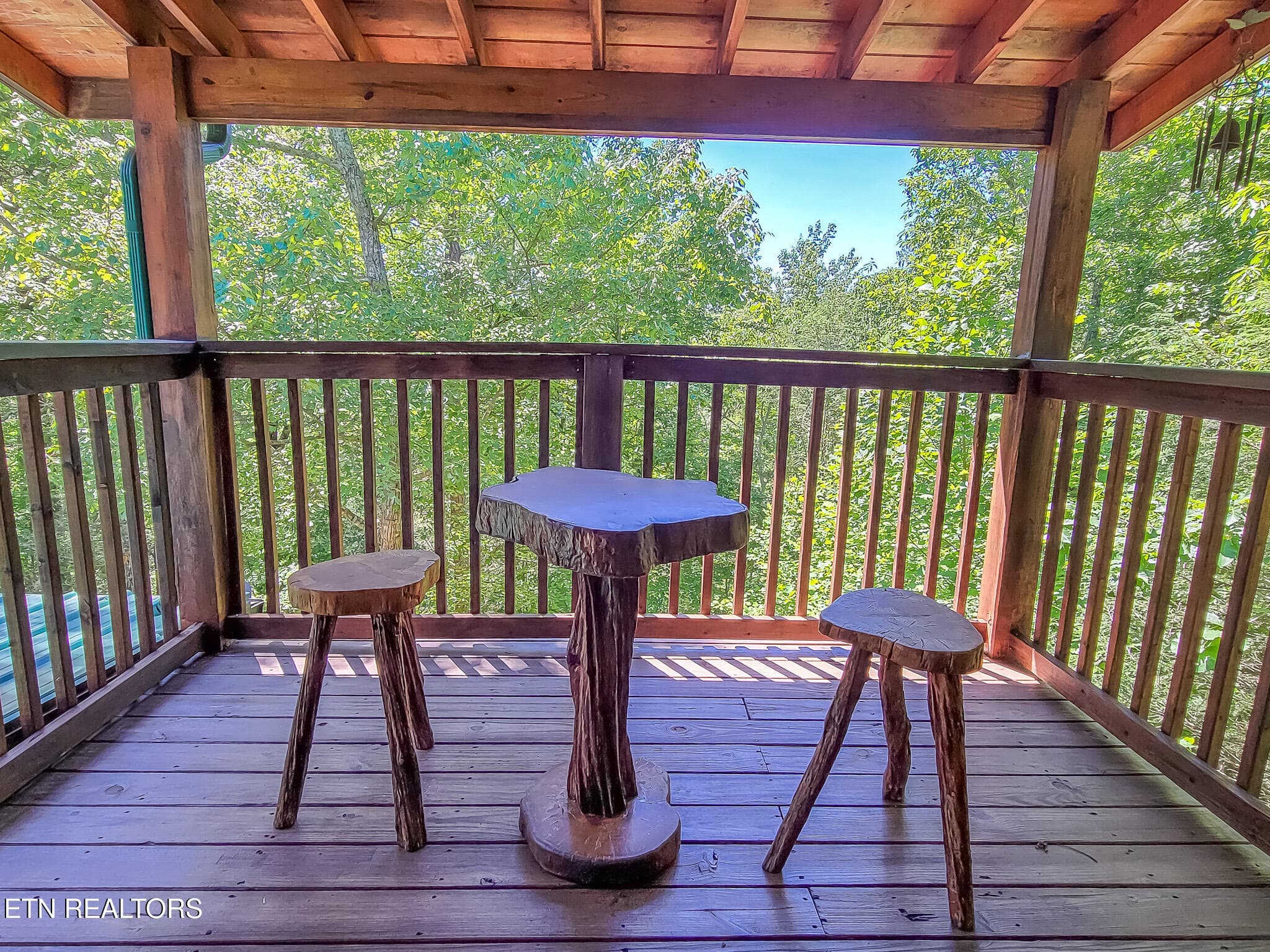 20240611_152028 - 4723 Riversong Ridge Way, Sevierville, TN 37876, Sevierville