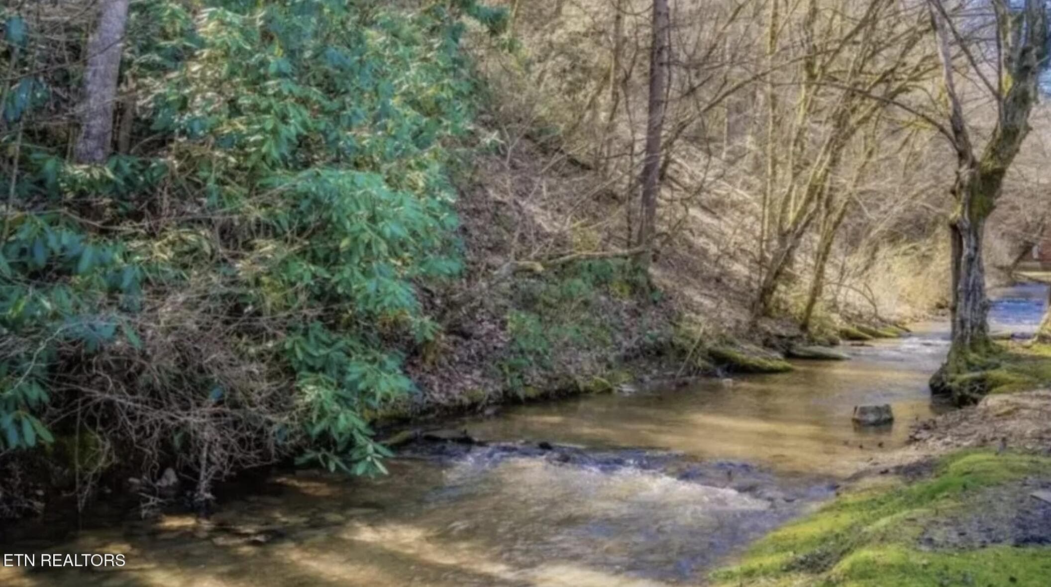 Caney Creek - 307 Caney Creek Rd, Pigeon Forge, TN 37863, Pigeon Forge