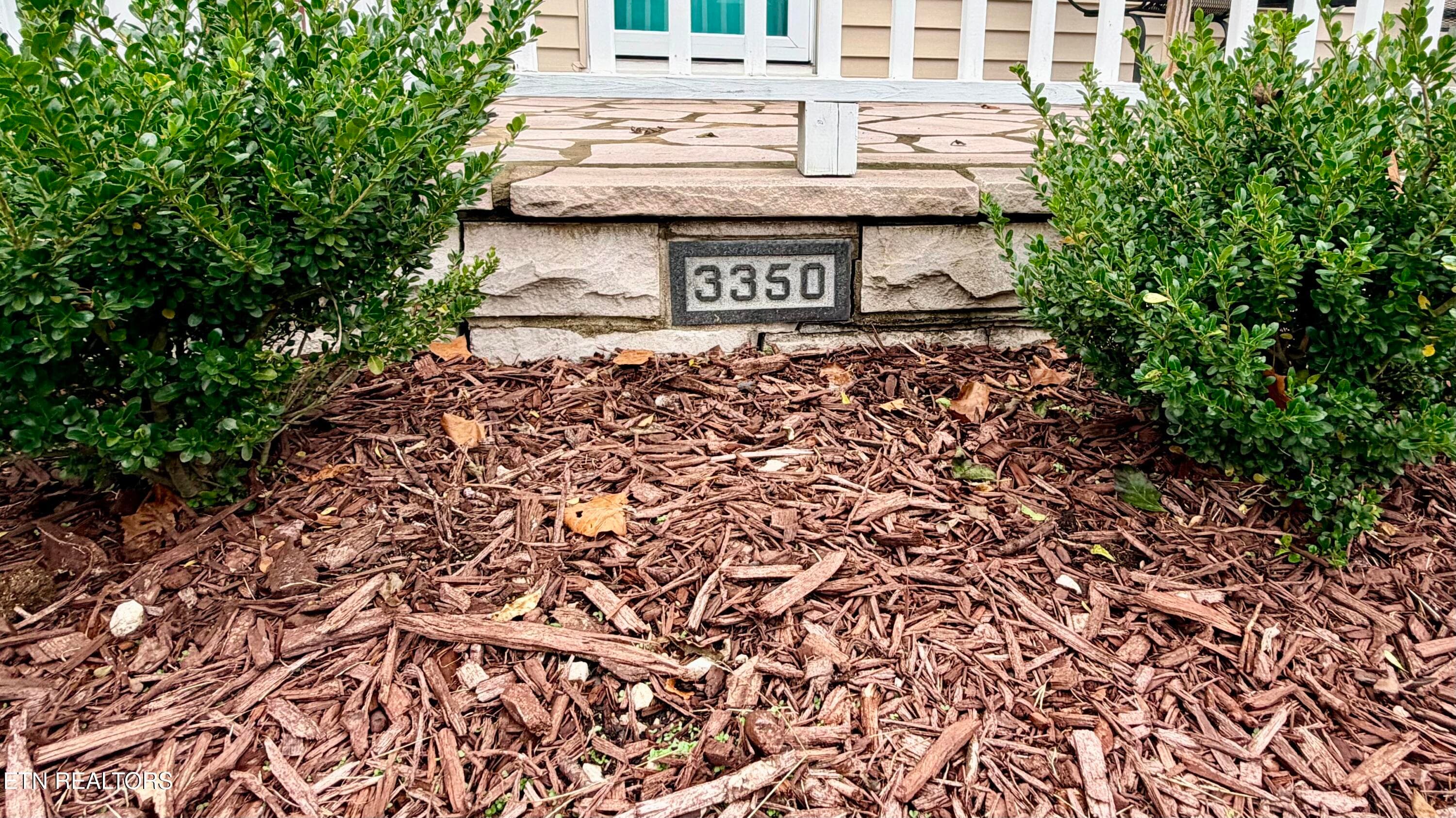 IMG_3802 - 3350 Orlando St, Knoxville, TN 37917, Knoxville