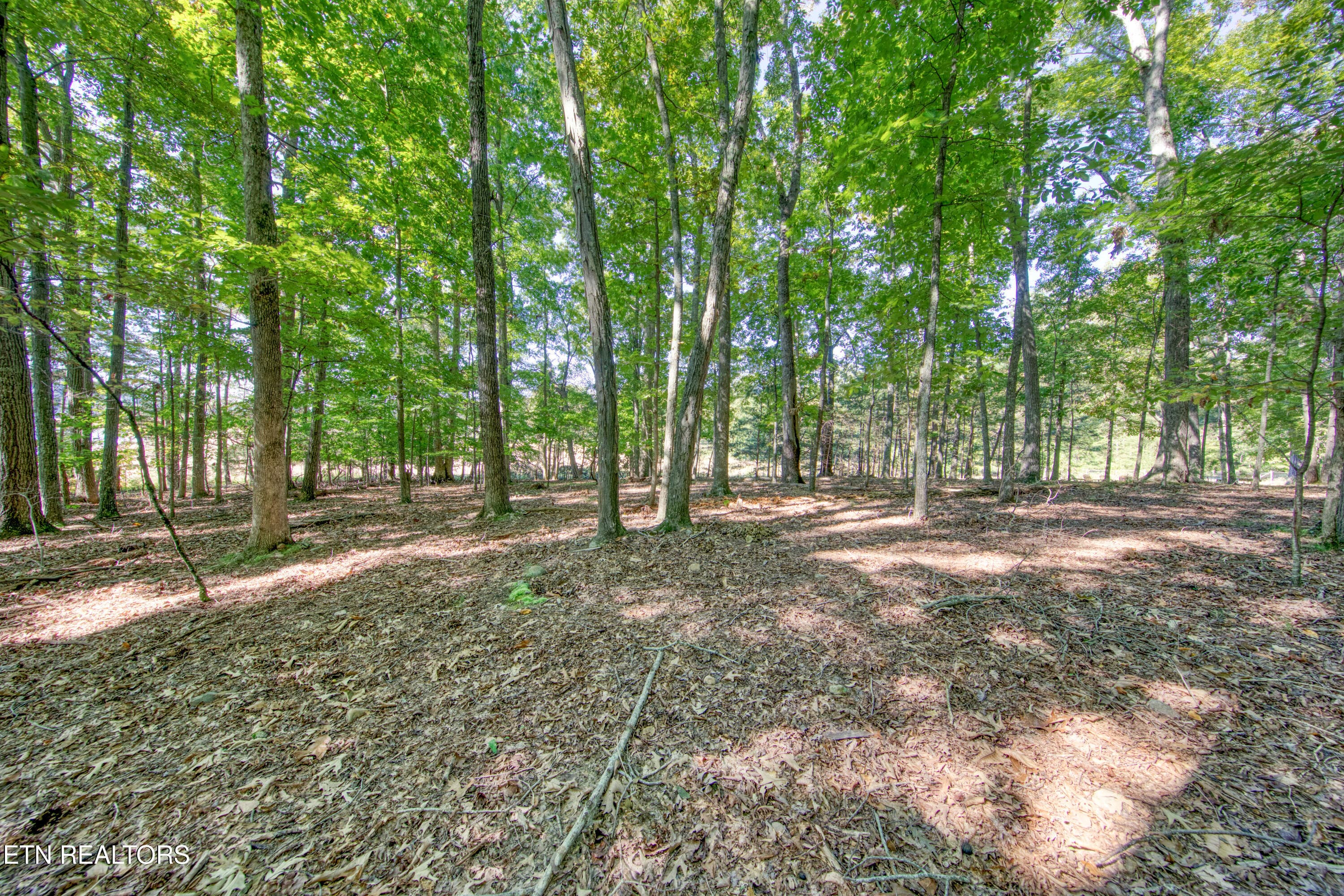 0H3A6931_23 - 1549 Wise Way, Dandridge, TN 37725, Dandridge