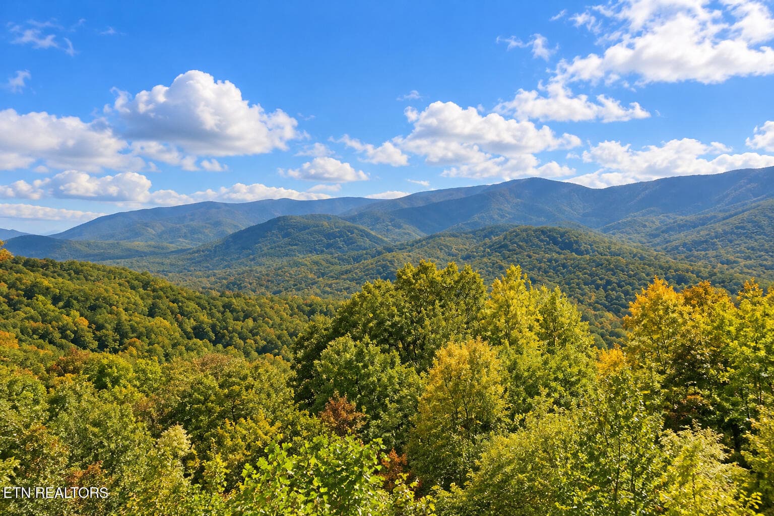 smoky_mountain_forest_panorama - 504 Matterhorn Drive, Gatlinburg, TN 37738, Gatlinburg