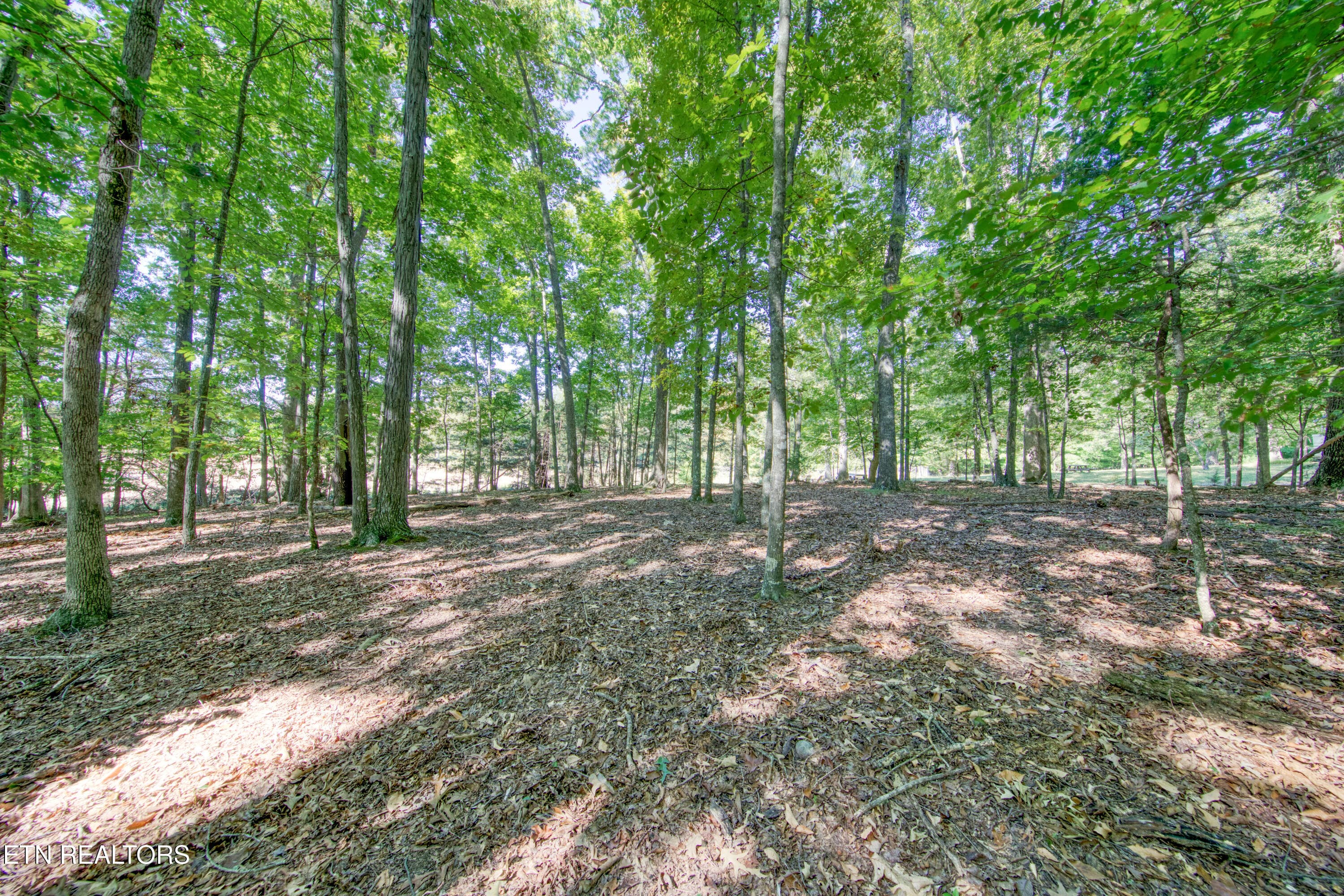 0H3A6934_24 - 1549 Wise Way, Dandridge, TN 37725, Dandridge