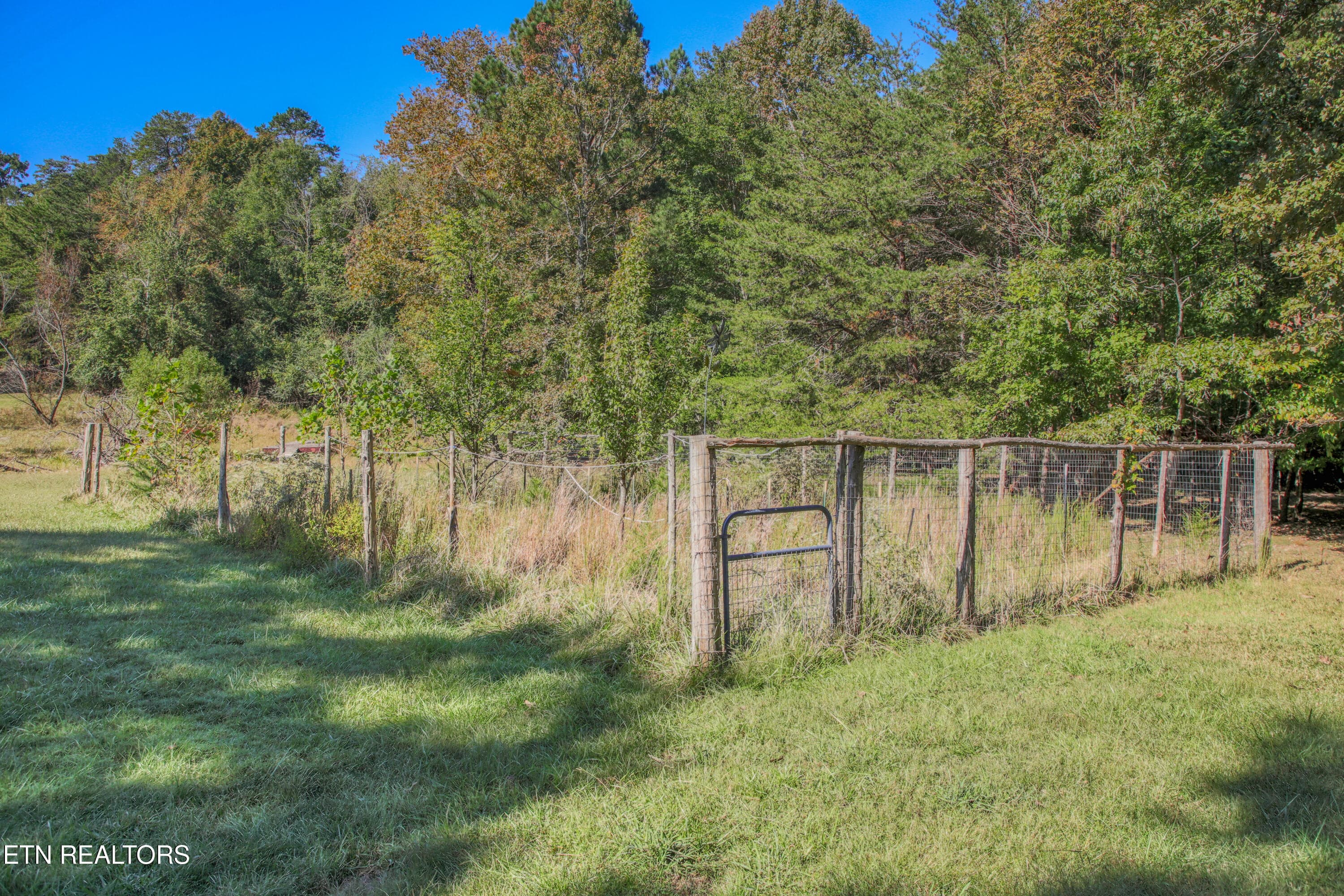 0H3A6857_77 - 1549 Wise Way, Dandridge, TN 37725, Dandridge