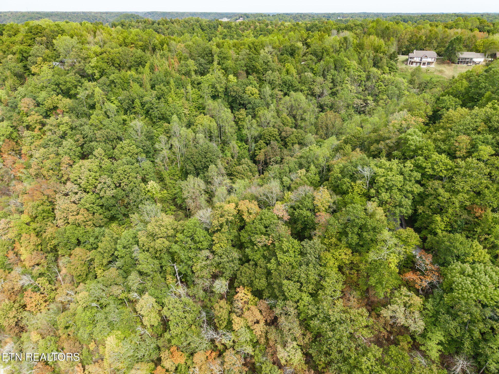10-web-or-mls-Austin Bottom Rd_046_TNPC - Austin Lake Rd, Baxter, TN 38544, Baxter