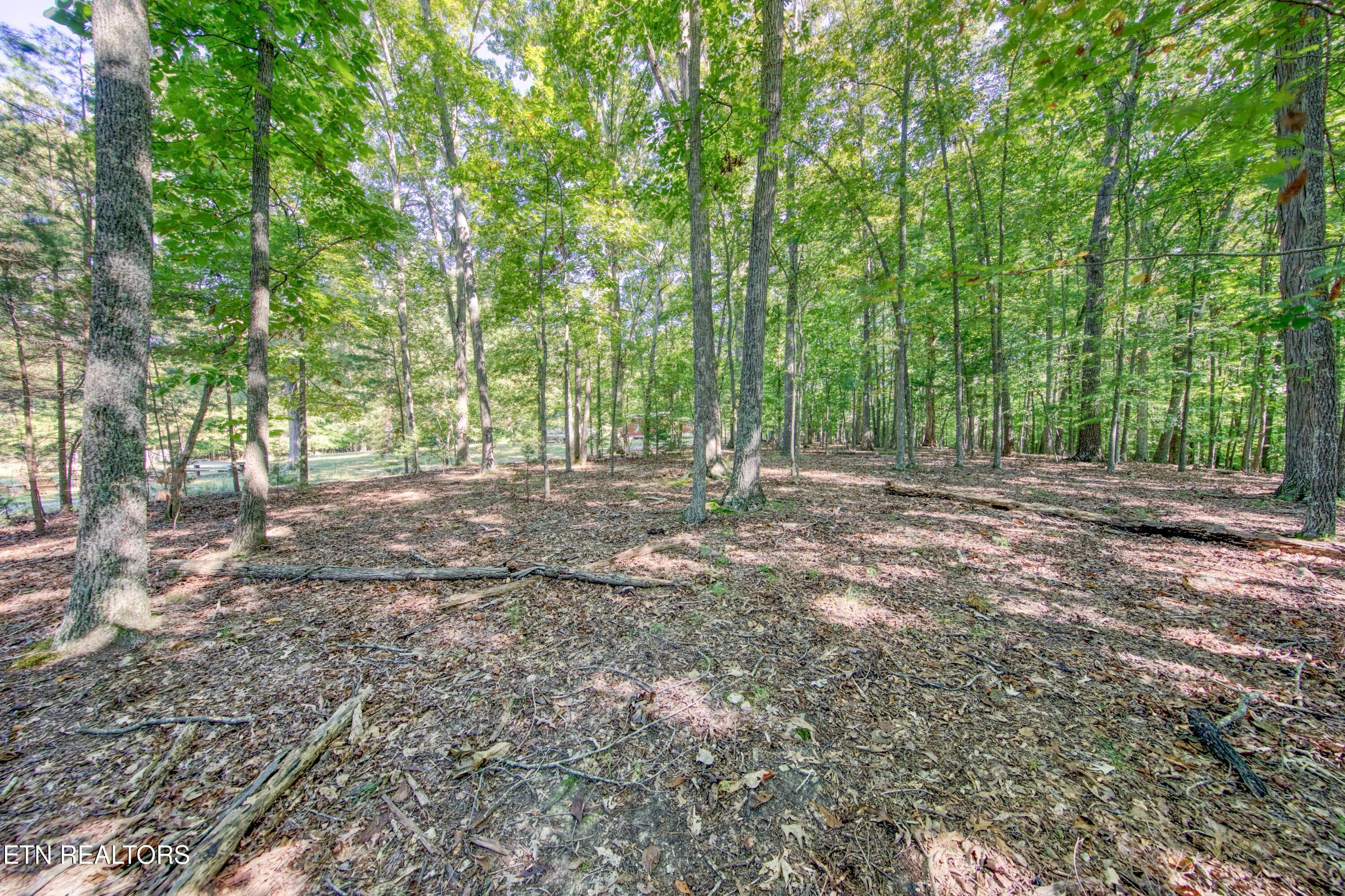 0H3A6928_22 - 1549 Wise Way, Dandridge, TN 37725, Dandridge