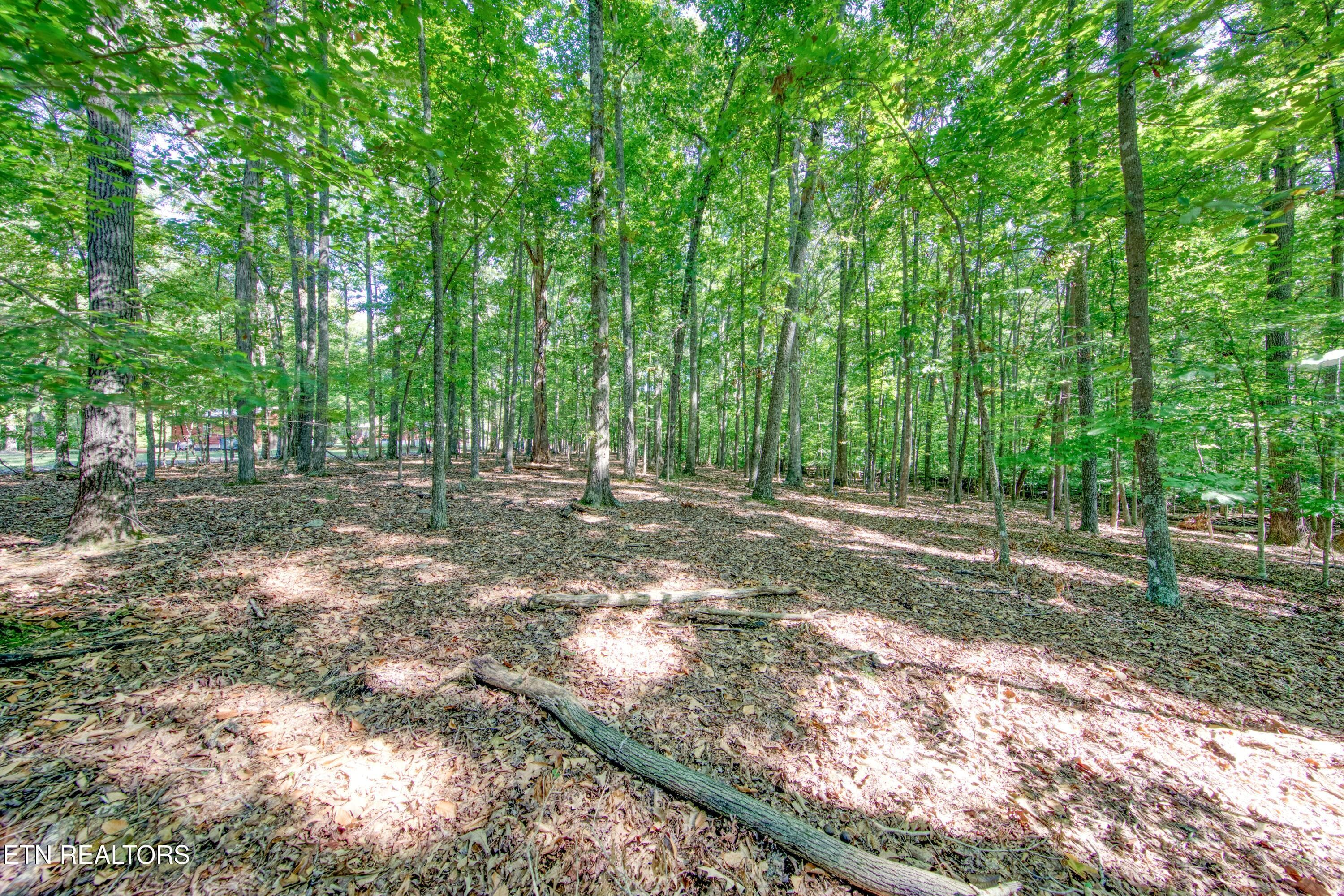0H3A6937_25 - 1549 Wise Way, Dandridge, TN 37725, Dandridge