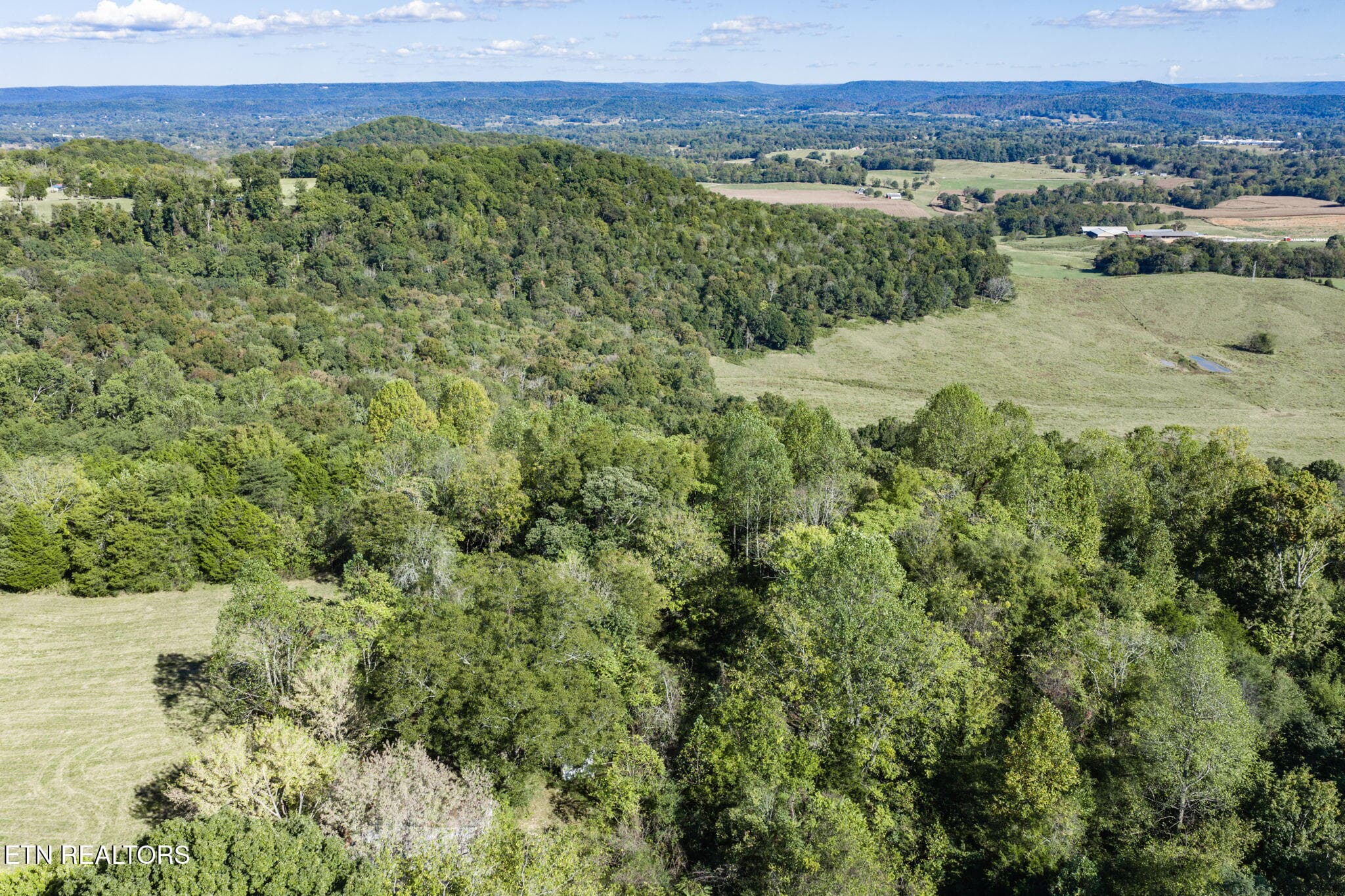 20-web-or-mls-Hensley Chapel Lot 5_013_T - 0 Hensley Chapel Lot 5 Rd, Sparta, TN 38583, Sparta