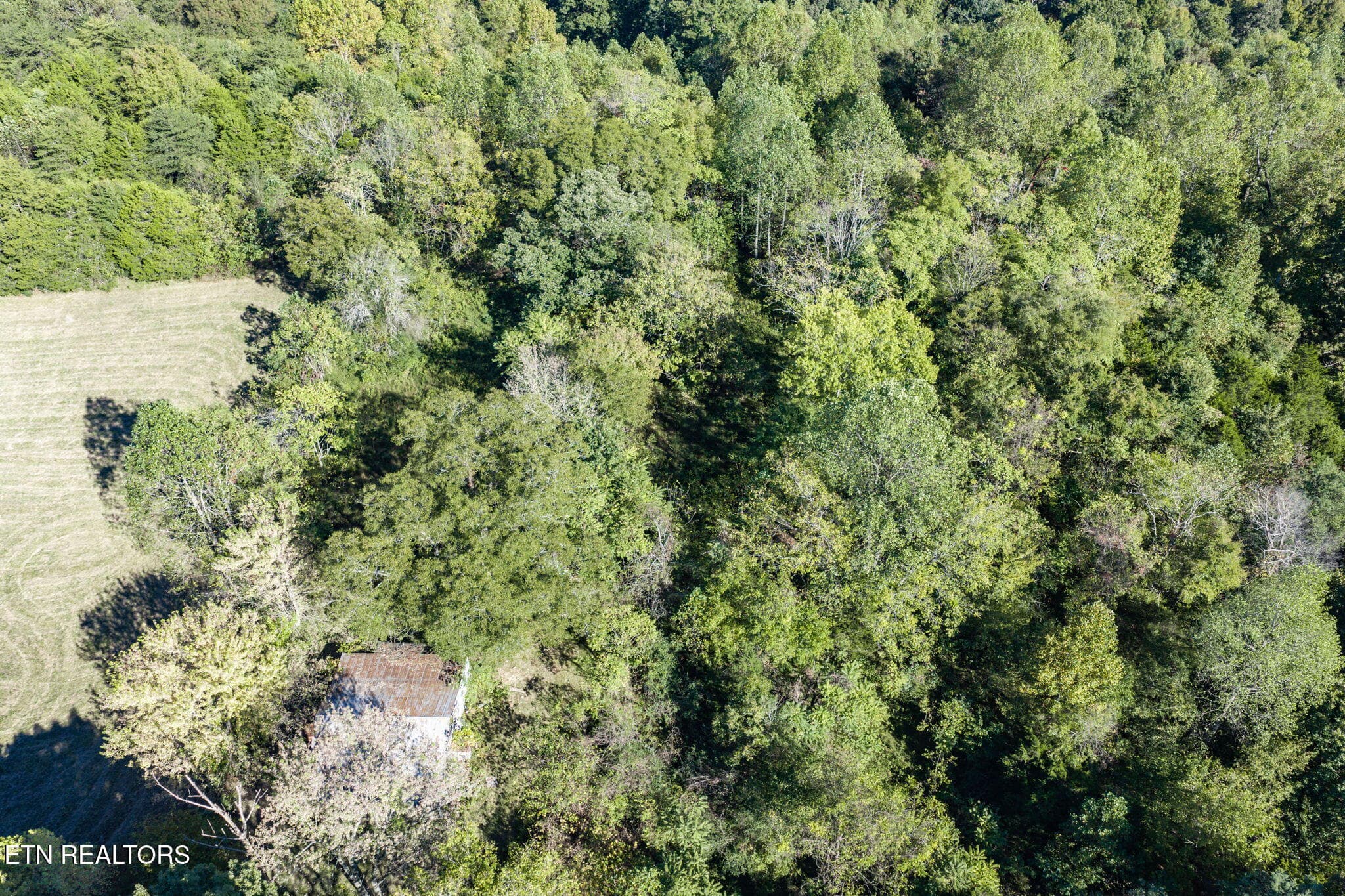 21-web-or-mls-Hensley Chapel Lot 5_018_T - 0 Hensley Chapel Lot 5 Rd, Sparta, TN 38583, Sparta