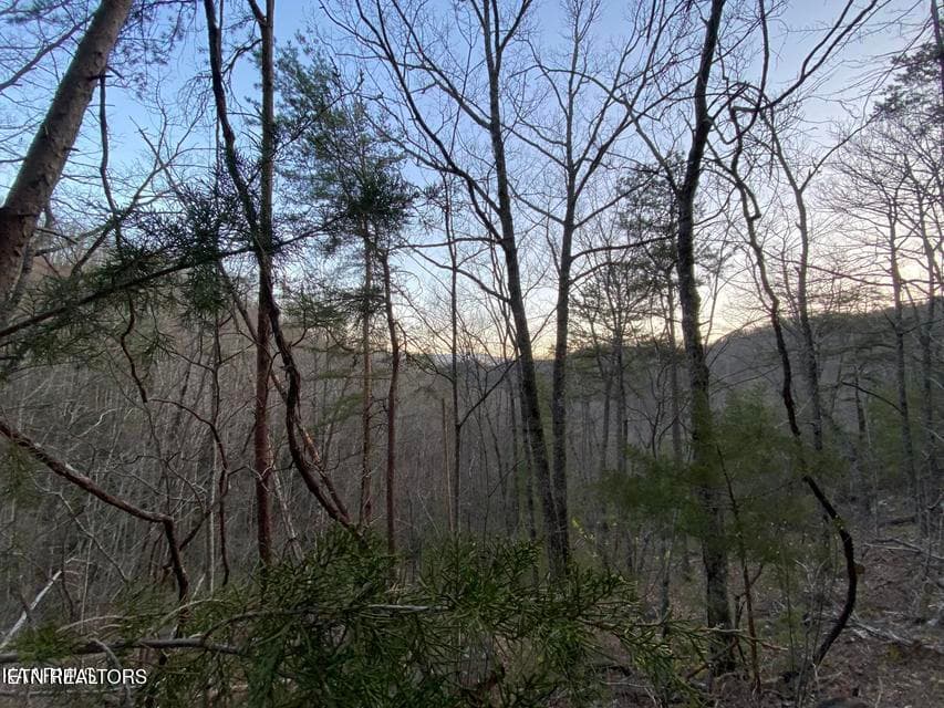 Beechwood - Beechwood St, Sevierville, TN 37876, Sevierville
