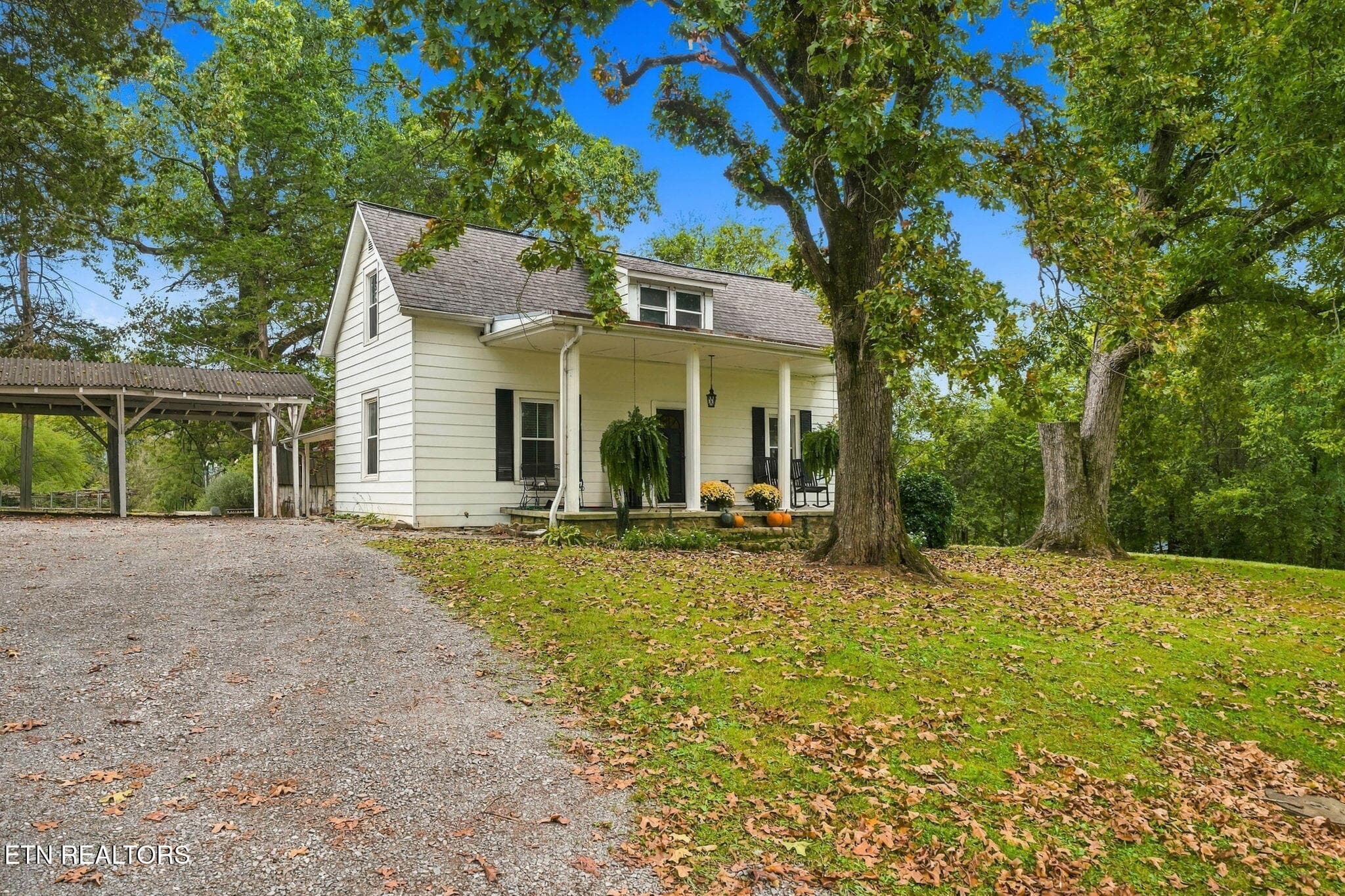 IMG_0257 - 219 Rhodes Rd, New Market, TN 37820, New Market