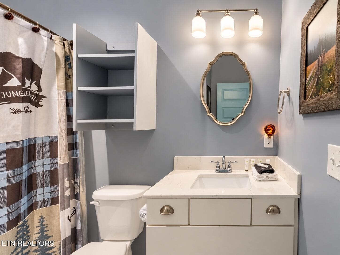40_interior_bathroom_scene_bright_clean_ - 4973 Long Rifle Rd, Walland, TN 37886, Walland