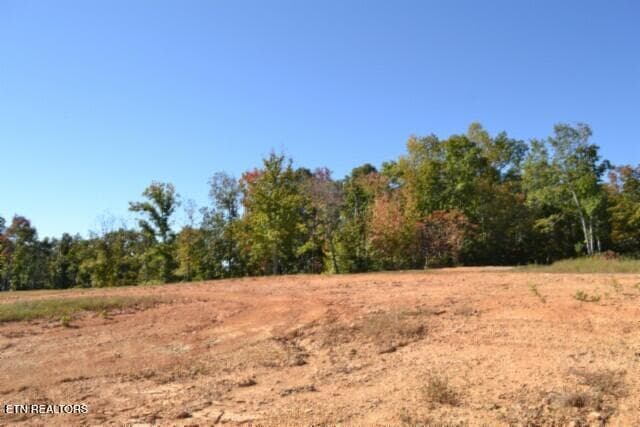 DSC_0033 - 1.87 NE Rock Springs Rd, Celina, TN 38551, Celina