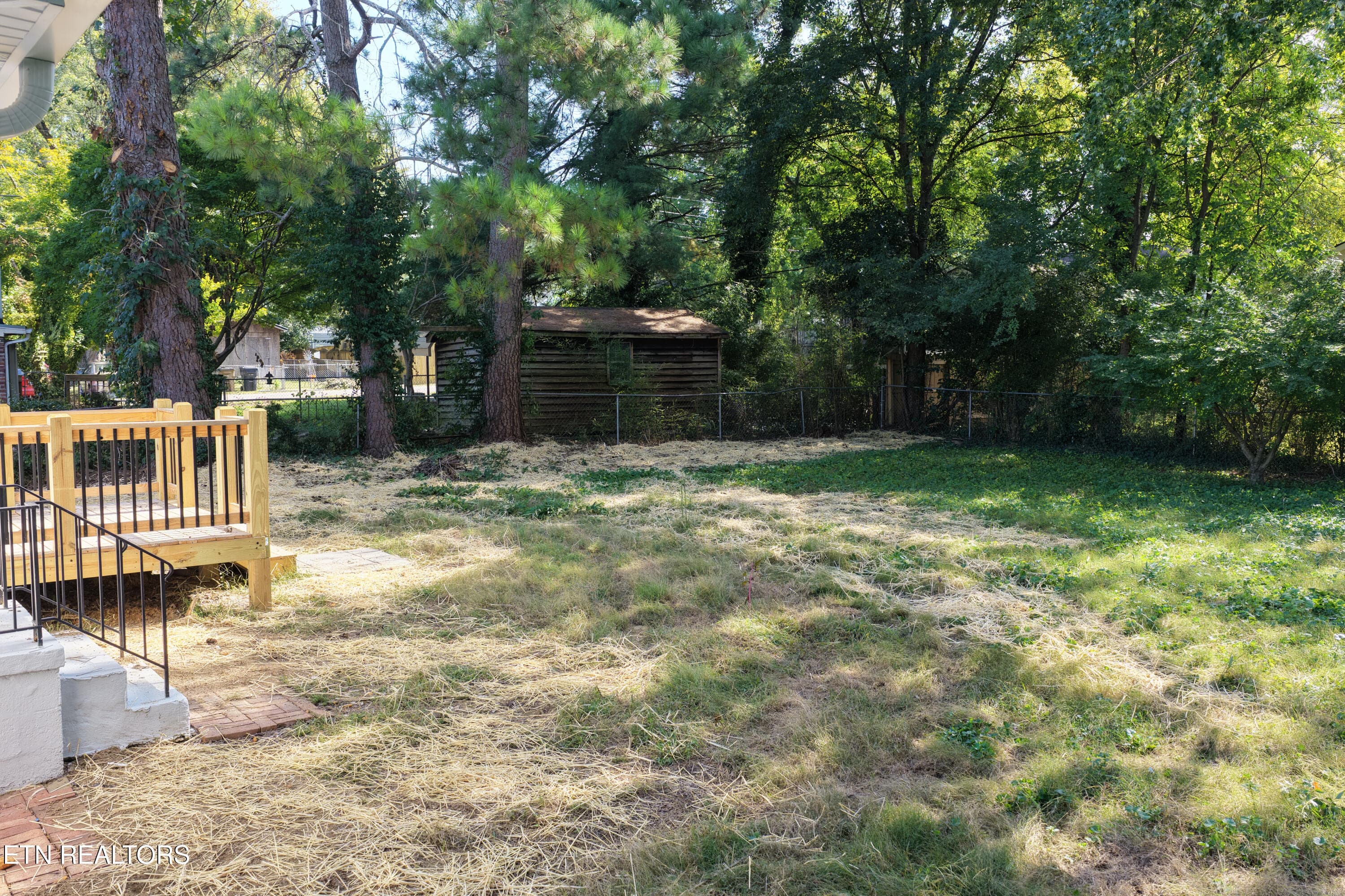 Back Yard - 2728 Arbor Place, Knoxville, TN 37917, Knoxville