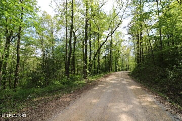 20191025200300862845000000-o - 669 Low Gap Rd, Helenwood, TN 37755, Helenwood
