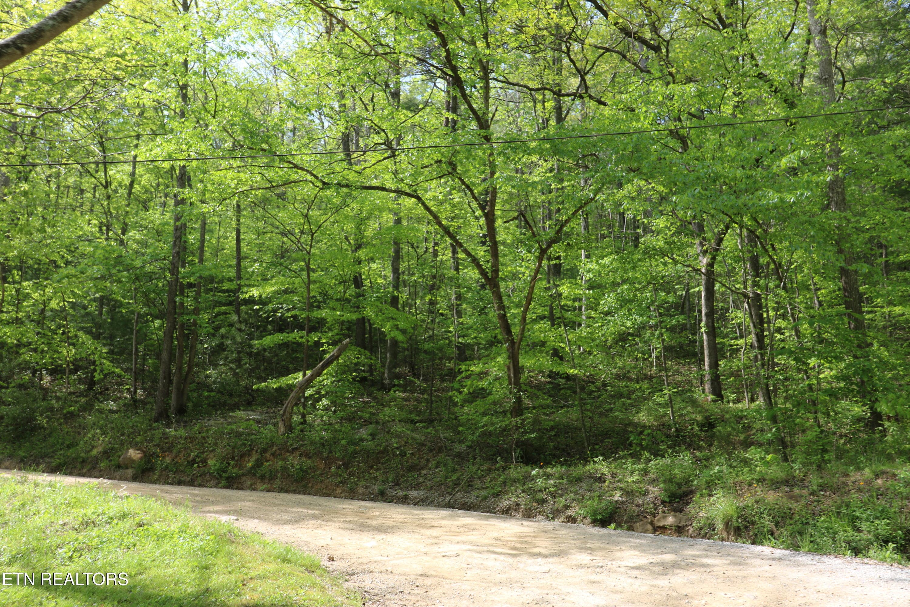20191025200338995348000000-o - 669 Low Gap Rd, Helenwood, TN 37755, Helenwood
