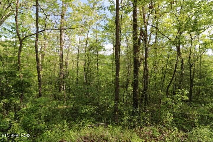 20191025200304547665000000-o (1) - 669 Low Gap Rd, Helenwood, TN 37755, Helenwood