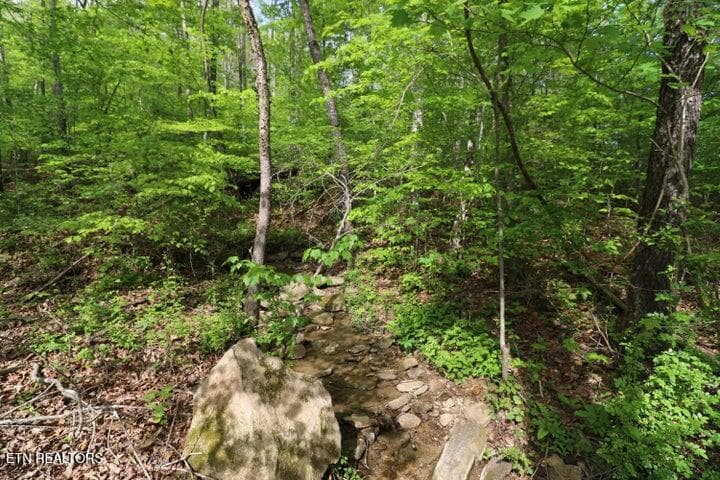 20191025200343904745000000-o - 669 Low Gap Rd, Helenwood, TN 37755, Helenwood