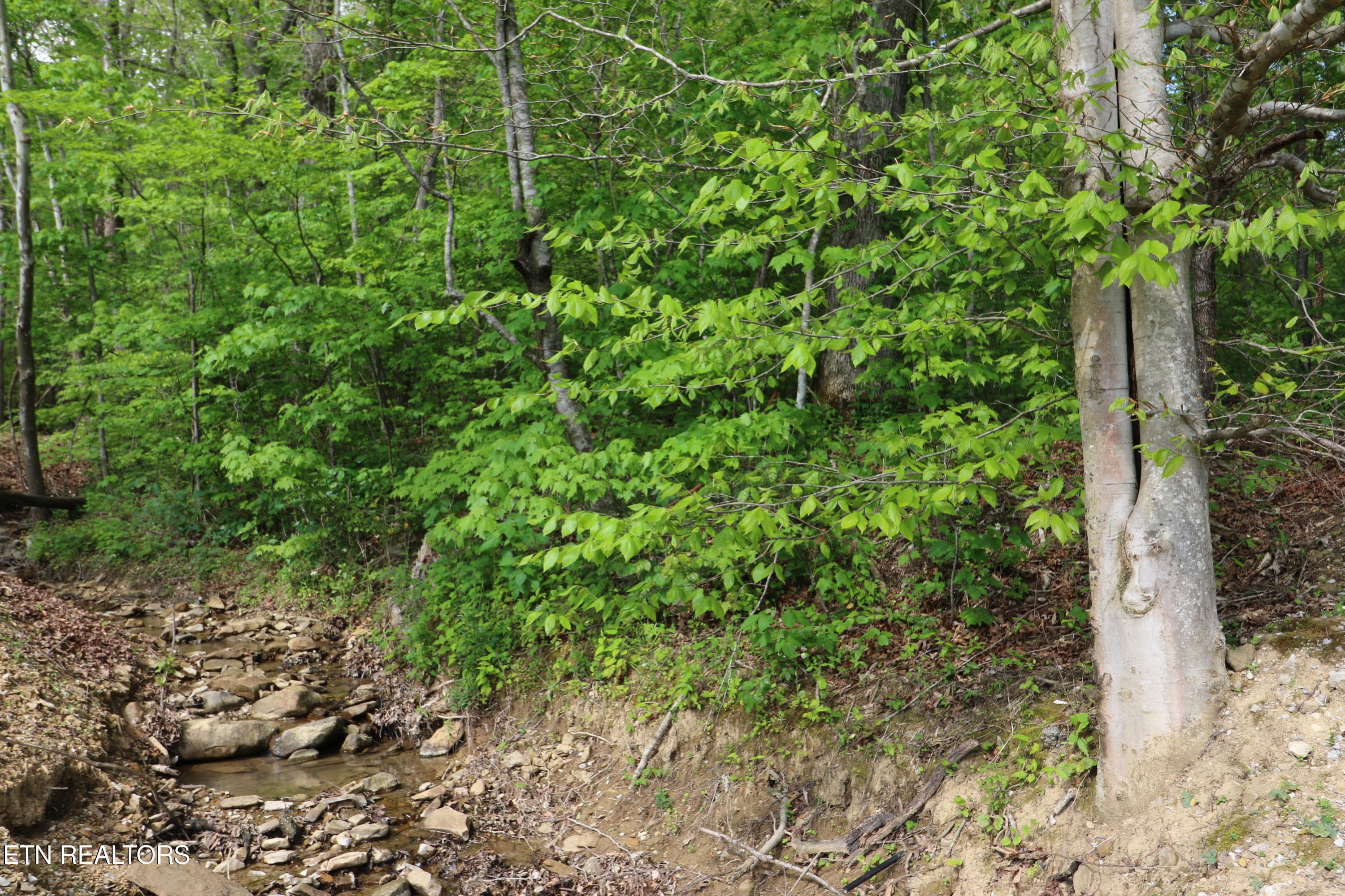 20191025200354211582000000-o - 669 Low Gap Rd, Helenwood, TN 37755, Helenwood