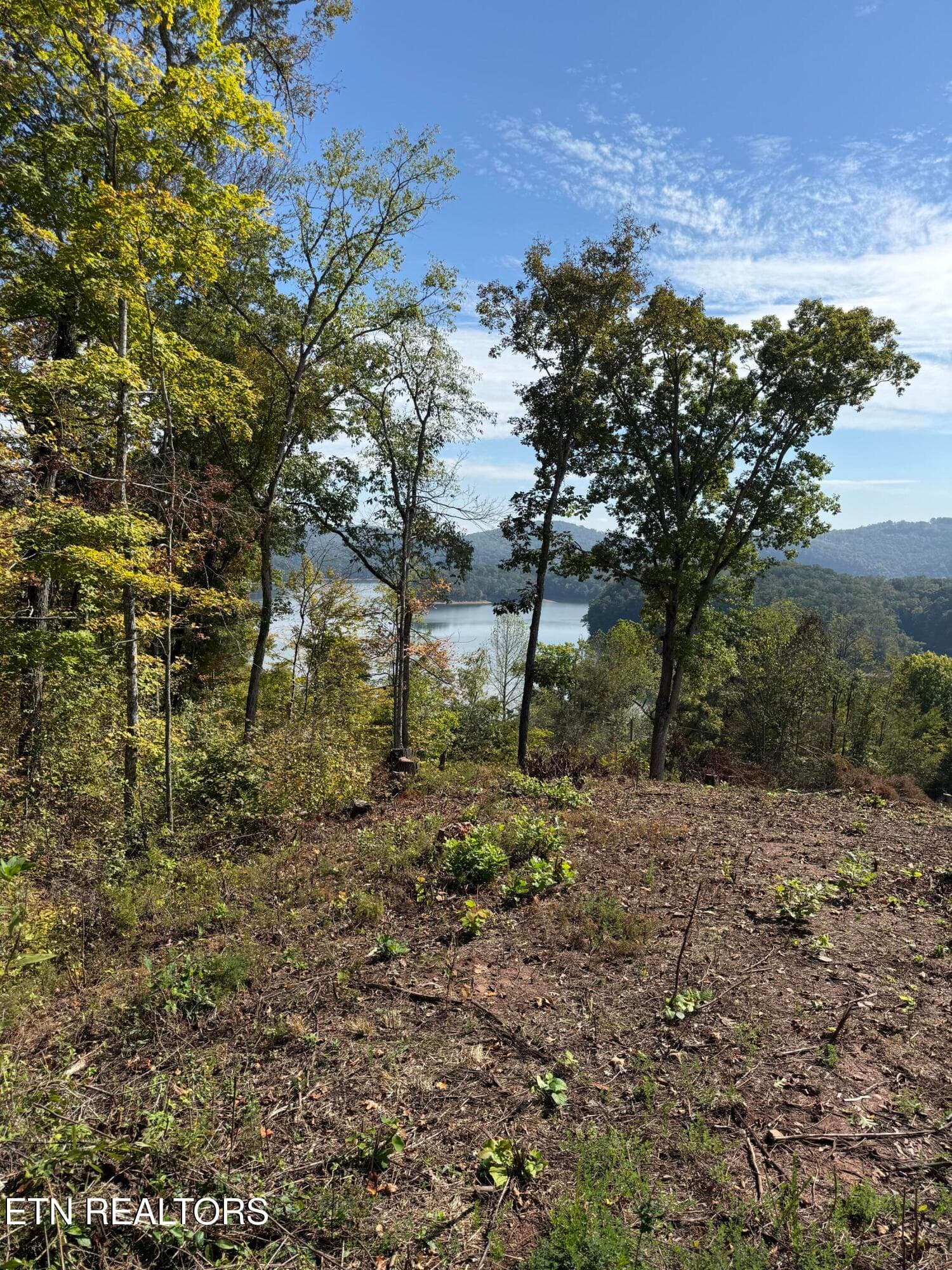 IMG_0574 - Lot 264 Lakeview Drive, Sharps Chapel, TN 37866