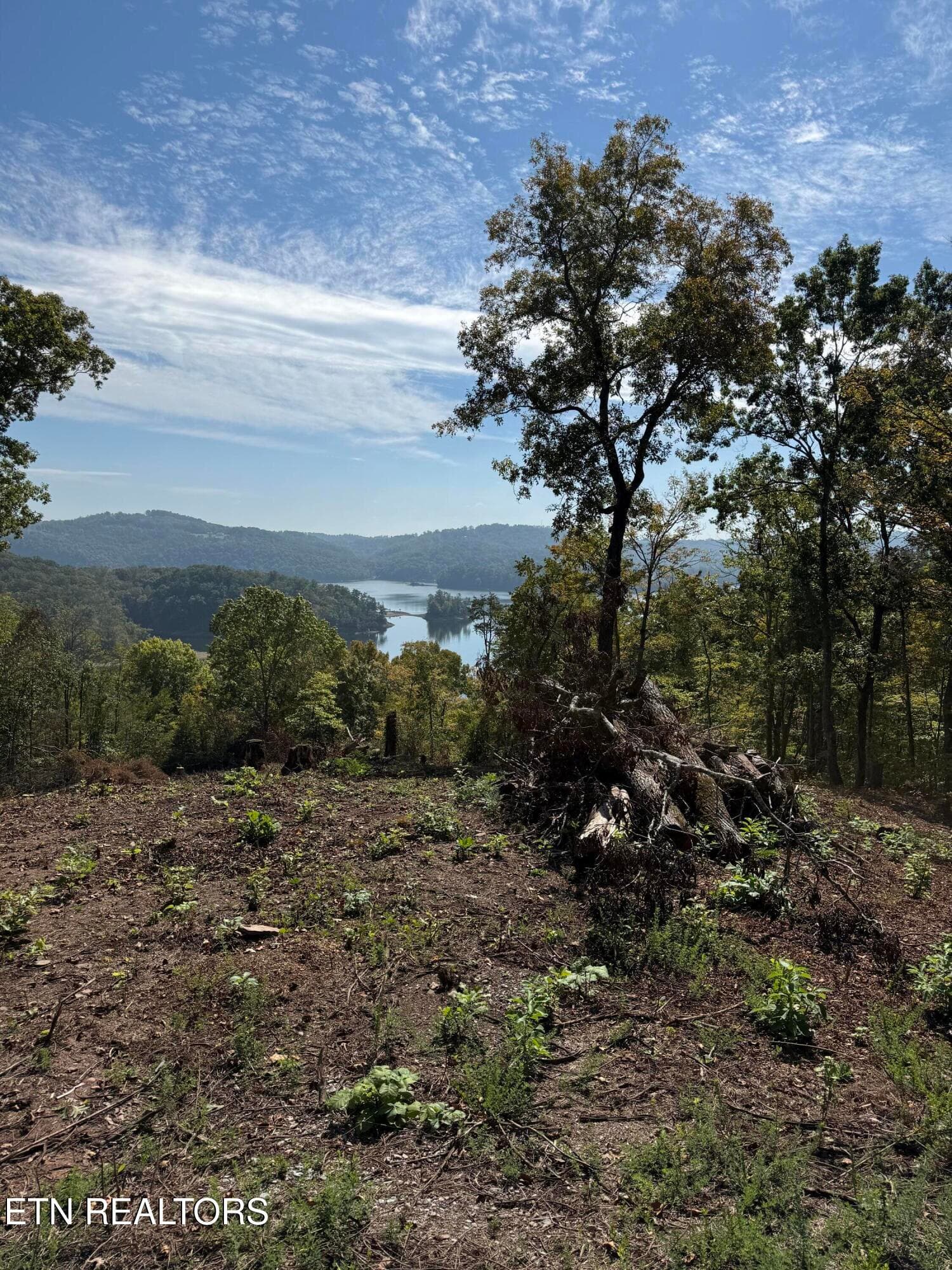 IMG_0575 - Lot 264 Lakeview Drive, Sharps Chapel, TN 37866, Sharps Chapel