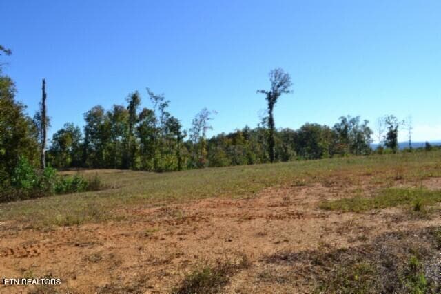 DSC_0012 - 11.27ac NE Rock Springs Rd, Celina, TN 38551, Celina