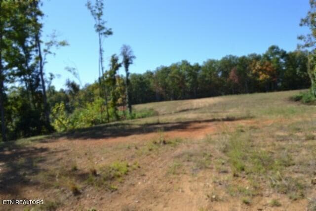DSC_0108 - 11.27ac NE Rock Springs Rd, Celina, TN 38551, Celina