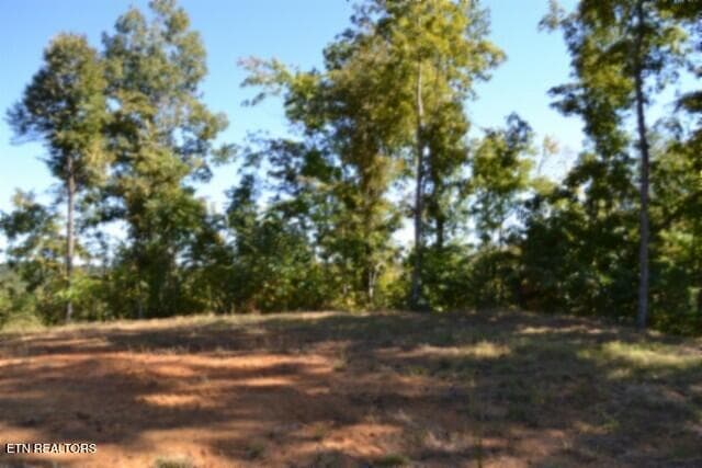 DSC_0111 - 11.27ac NE Rock Springs Rd, Celina, TN 38551, Celina