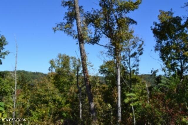 DSC_0120 - 11.27ac NE Rock Springs Rd, Celina, TN 38551, Celina