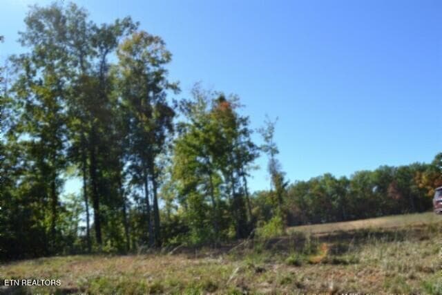 DSC_0121 - 11.27ac NE Rock Springs Rd, Celina, TN 38551, Celina