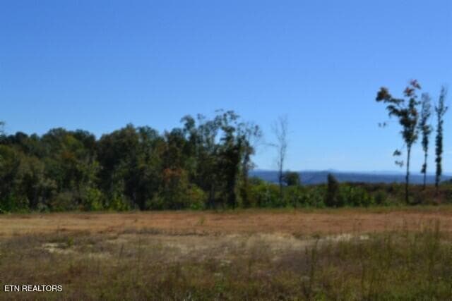 DSC_0130 - 11.27ac NE Rock Springs Rd, Celina, TN 38551, Celina