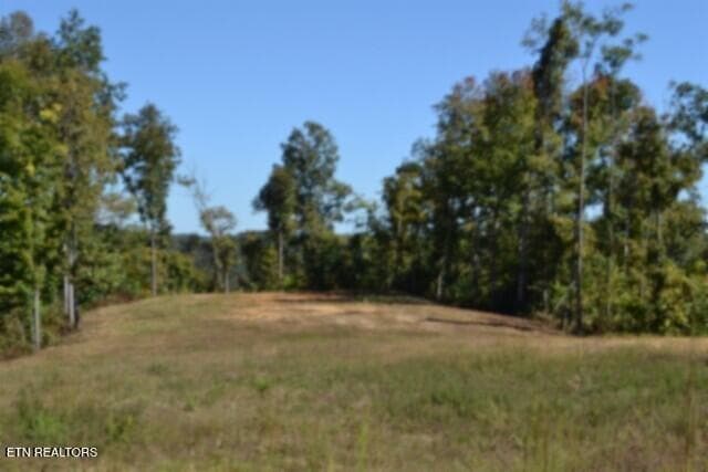 DSC_0133 - 11.27ac NE Rock Springs Rd, Celina, TN 38551, Celina