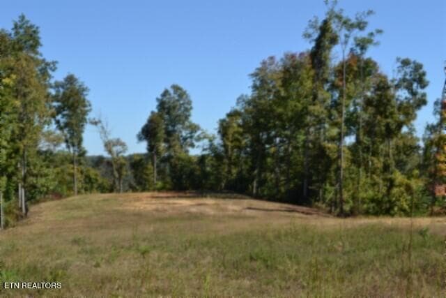 DSC_0134 - 11.27ac NE Rock Springs Rd, Celina, TN 38551, Celina