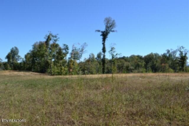 DSC_0136 - 11.27ac NE Rock Springs Rd, Celina, TN 38551, Celina