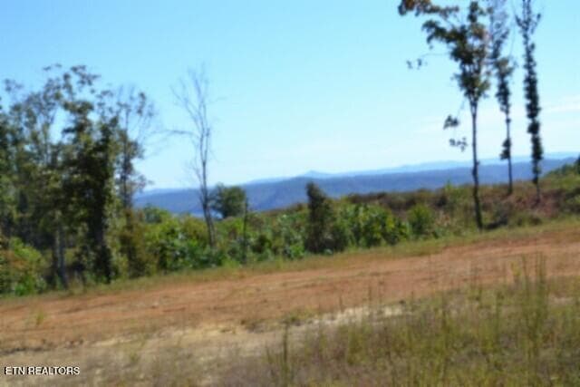 LAKE VIEW - 11.27ac NE Rock Springs Rd, Celina, TN 38551, Celina