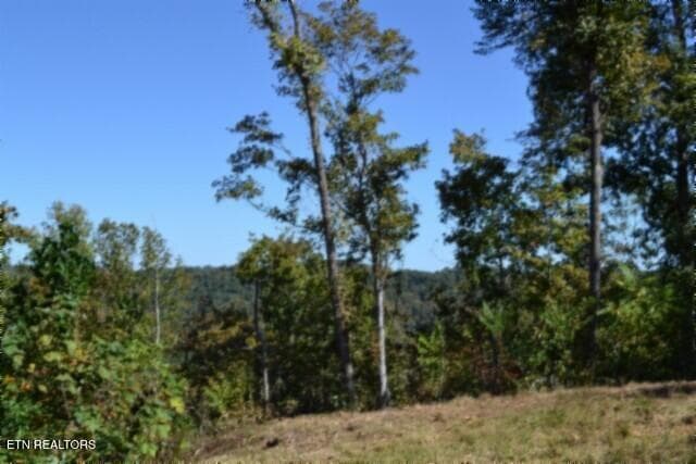MOUNTAIN VIEWS 1 - 11.27ac NE Rock Springs Rd, Celina, TN 38551, Celina