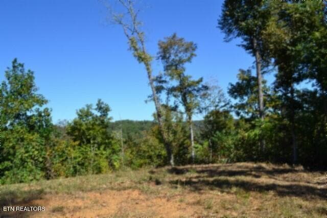 MOUNTAIN VIEWS 2 - 11.27ac NE Rock Springs Rd, Celina, TN 38551, Celina
