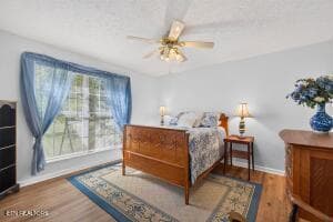 Bedroom 2 - 1957 Lakebrook Circle, Dandridge, TN 37725, Dandridge