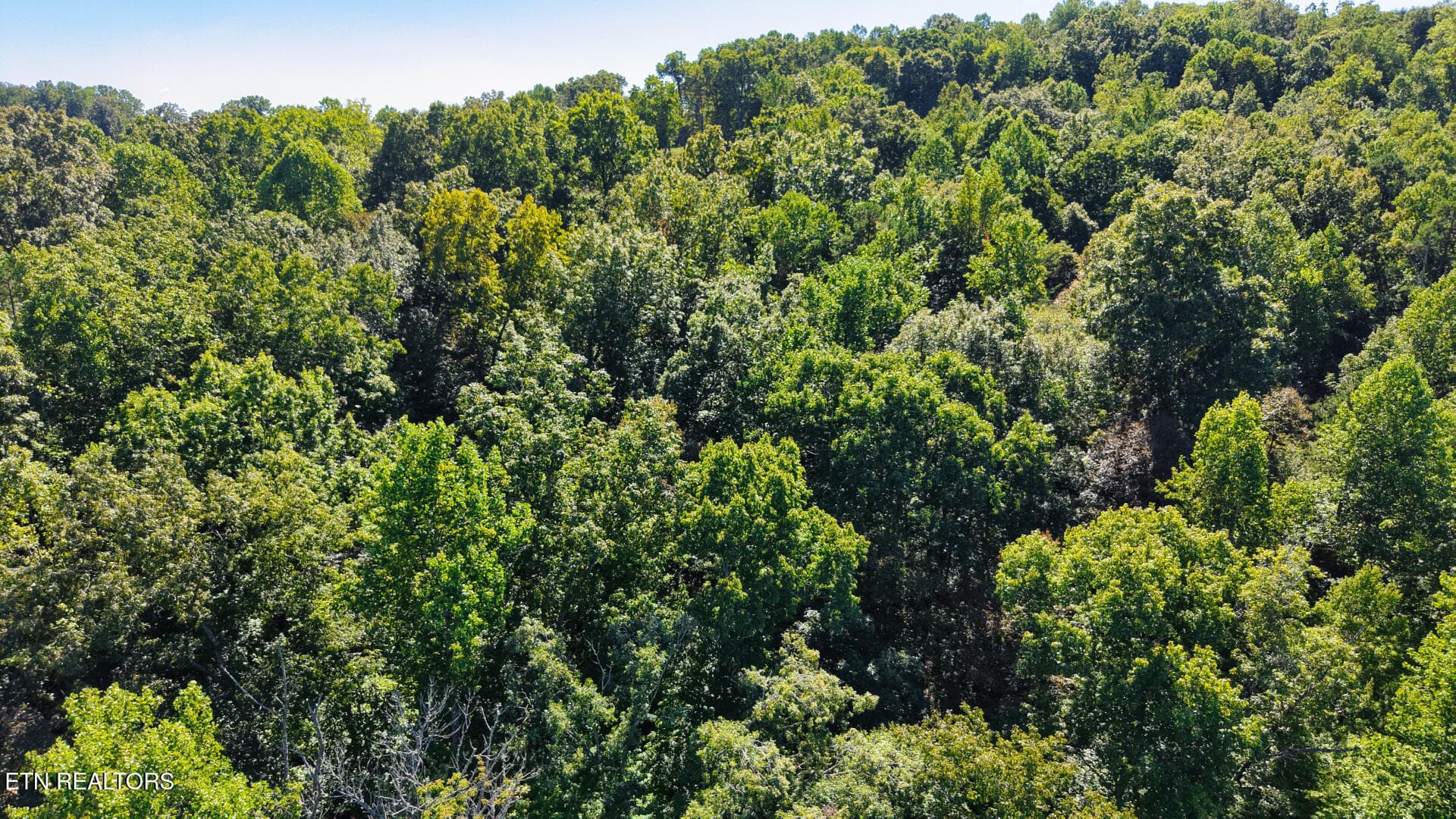 DJI_20260925150219_0067_D - Lot 1 Conner Rd, Powell, TN 37849, Powell