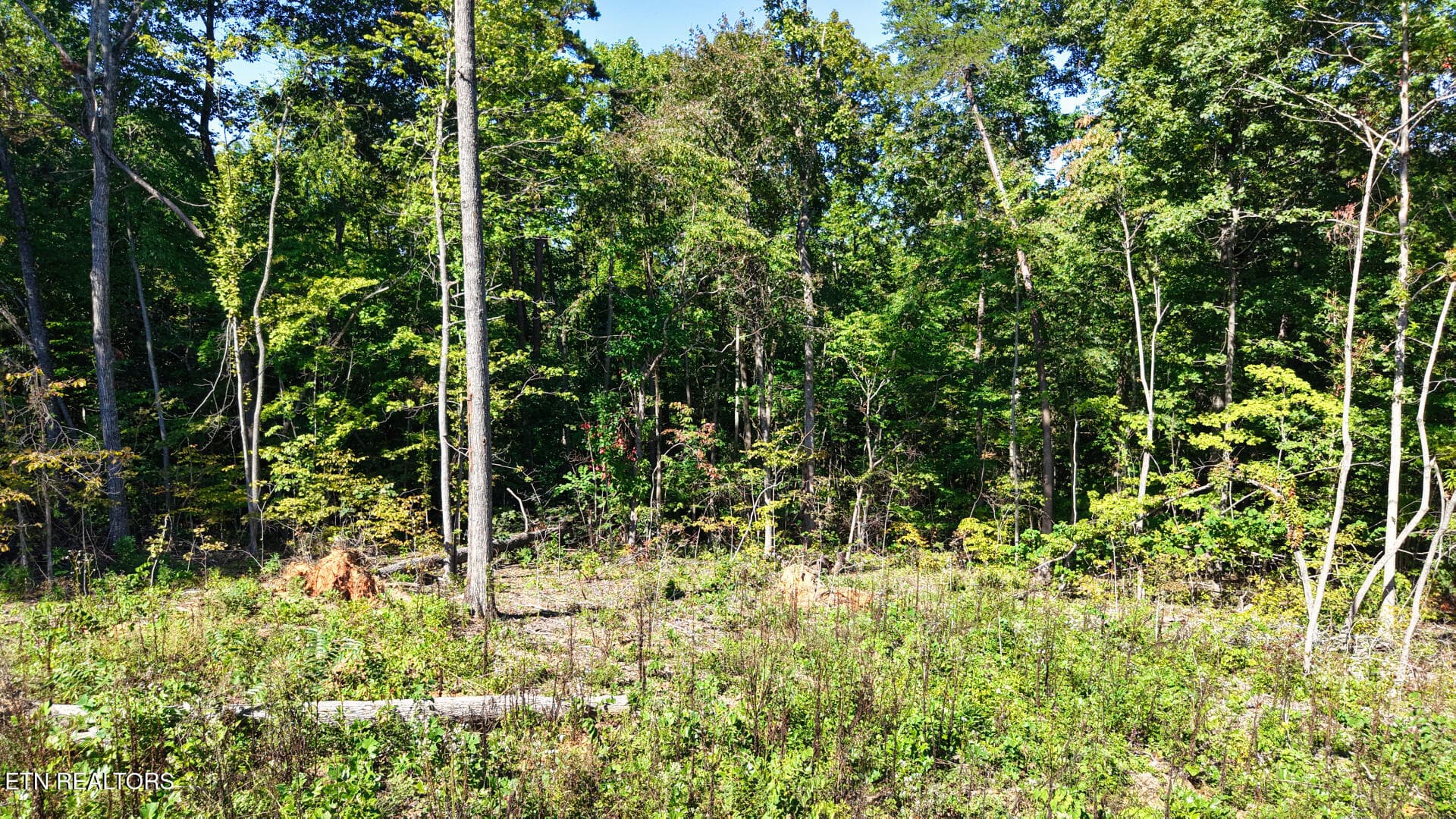 DJI_20260925150519_0082_D - Lot 1 Conner Rd, Powell, TN 37849, Powell