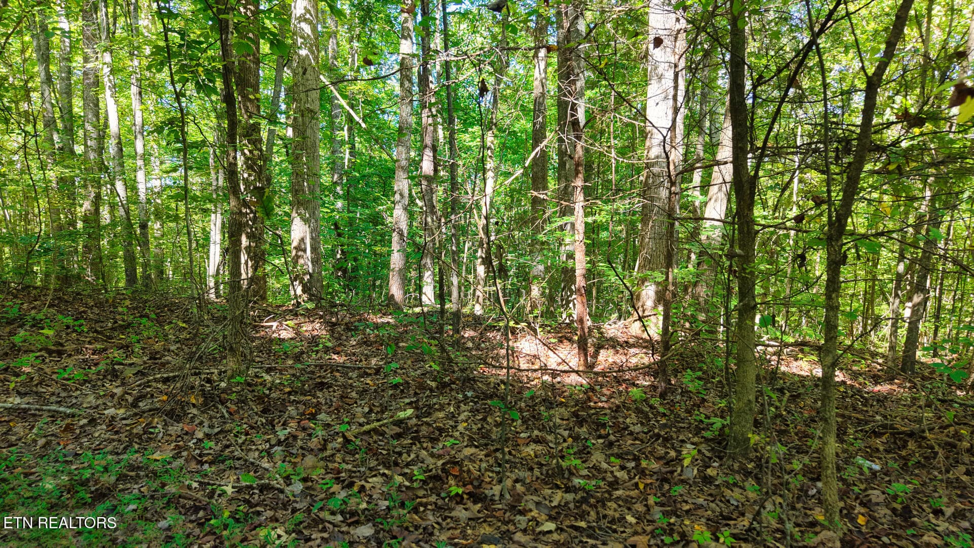 DJI_20260925150807_0103_D - Lot 1 Conner Rd, Powell, TN 37849, Powell