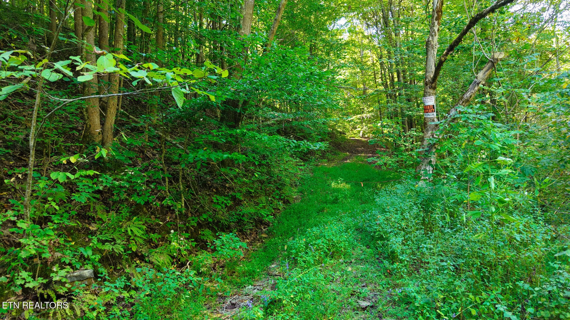 DJI_20260925151740_0124_D - Lot 1 Conner Rd, Powell, TN 37849, Powell
