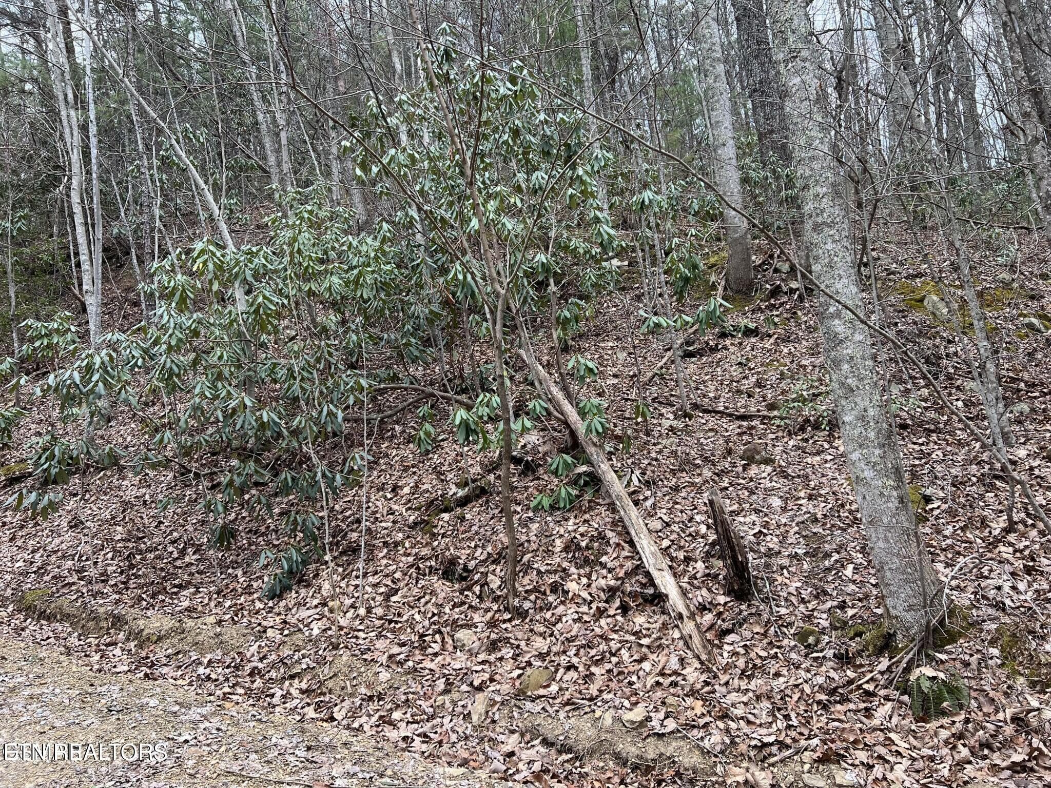 JS4 - Lot 120 John Sevier Drive, Sevierville, TN 37876, Sevierville