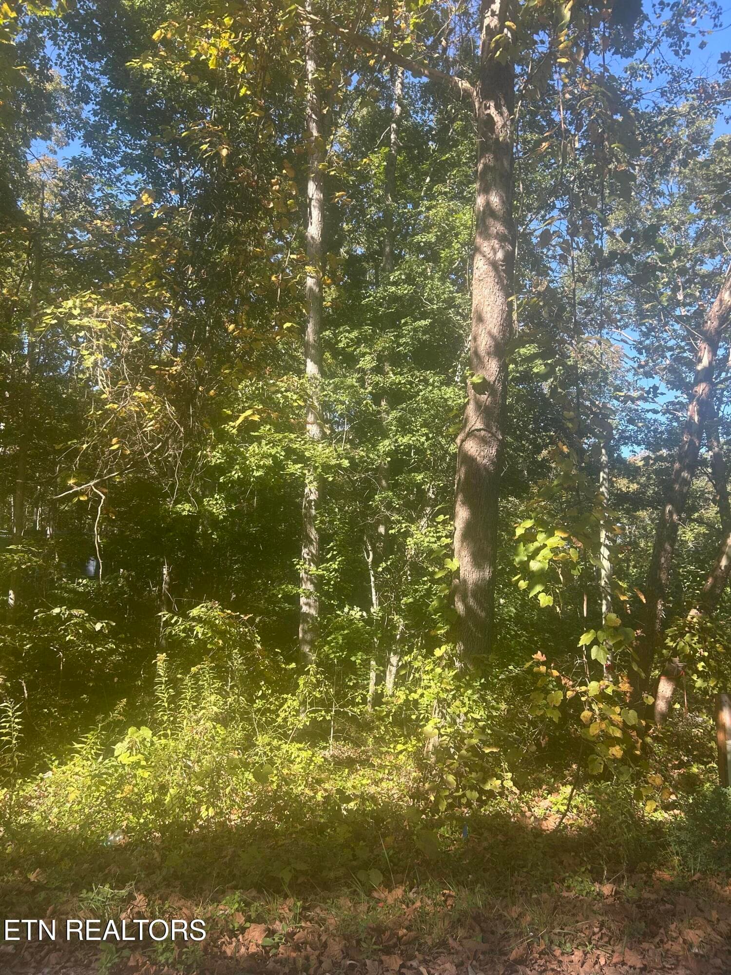 Timothy Drive Lot 234, Crossville, TN 38572