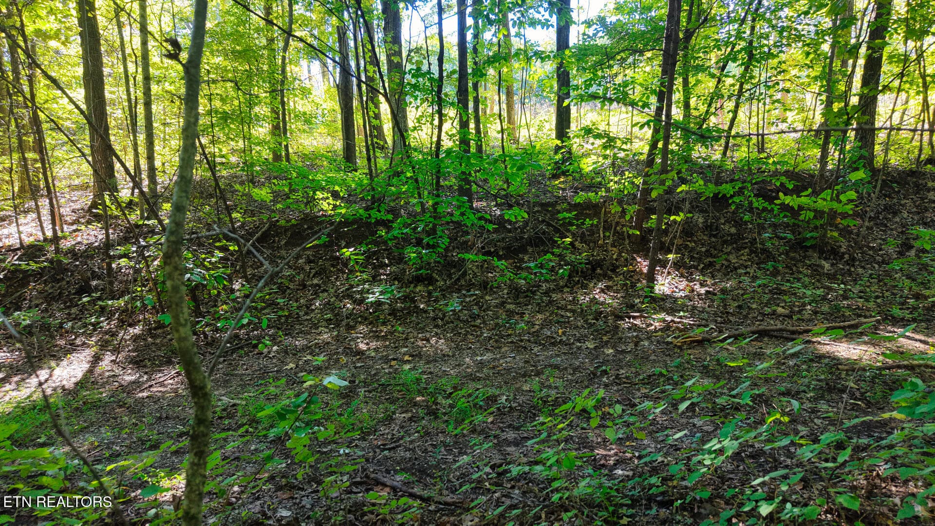DJI_20260925150739_0097_D - Lot 2 Conner Rd, Powell, TN 37849, Powell