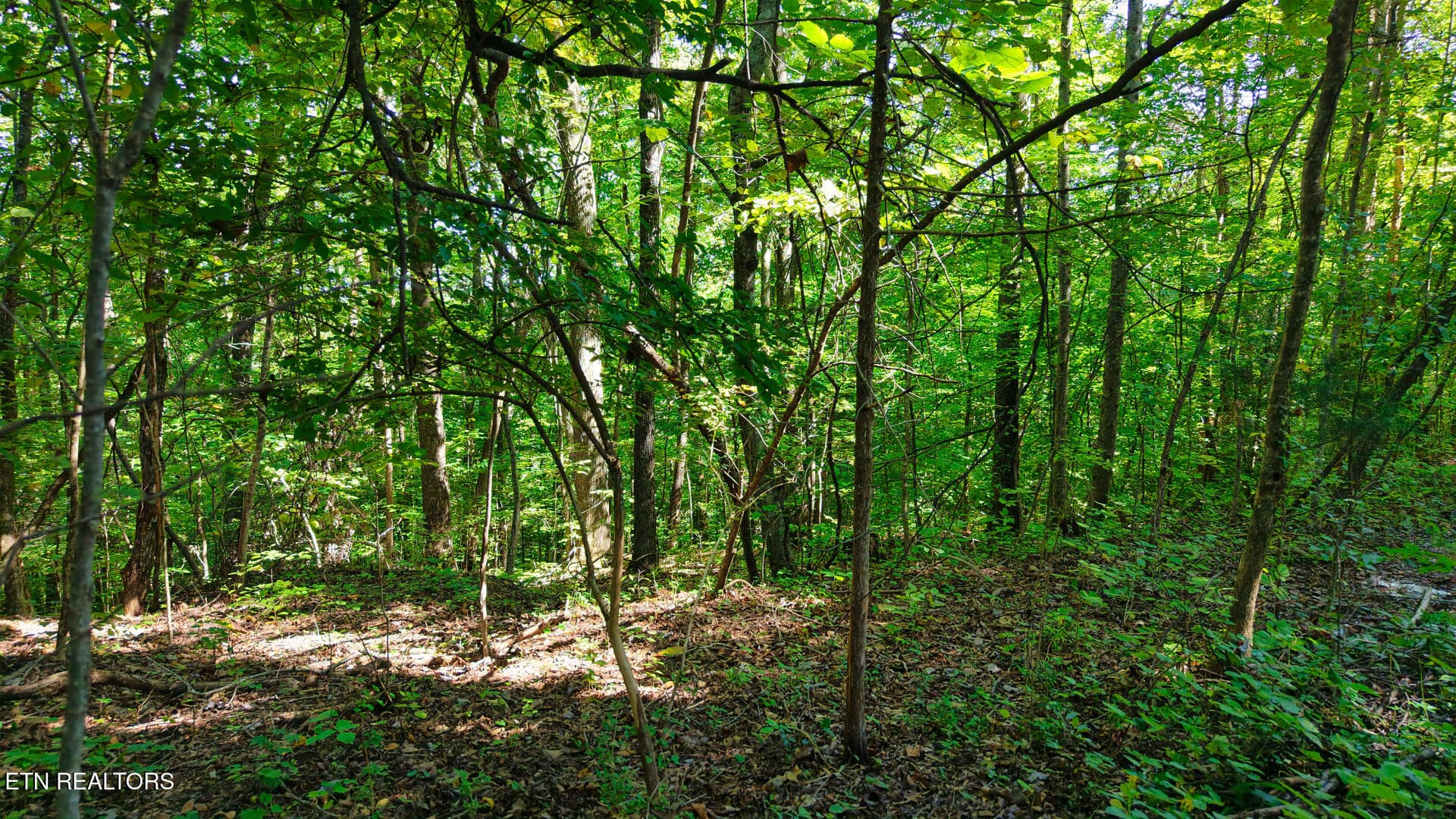 DJI_20260925150743_0098_D - Lot 2 Conner Rd, Powell, TN 37849, Powell