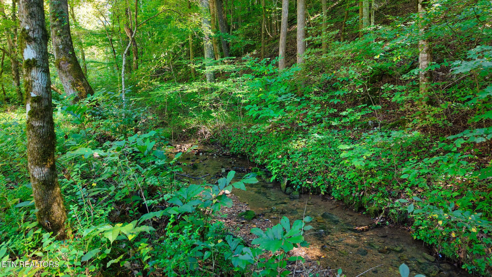 DJI_20260925151930_0132_D - Lot 2 Conner Rd, Powell, TN 37849, Powell